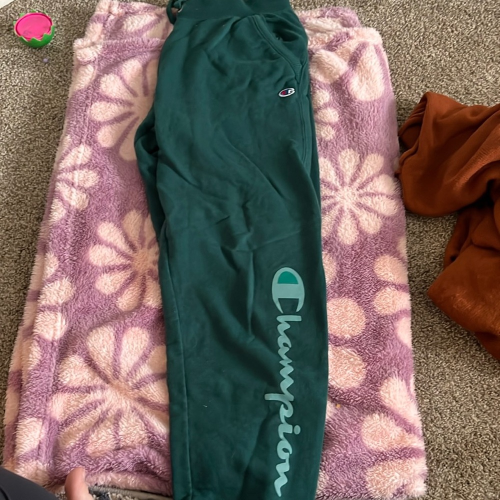 Champion sweatpants  size medium never worn. NWOT